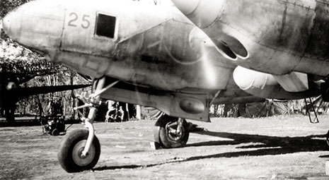 8th Photo Recon F-4 Lightning