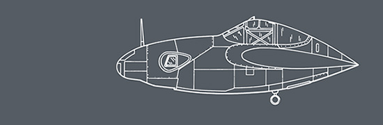 Lockheed F-5E Lightning
